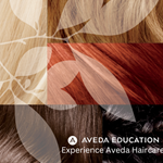 Halifax, NS - Experience Aveda Haircare - October 4th, 5th, 2026